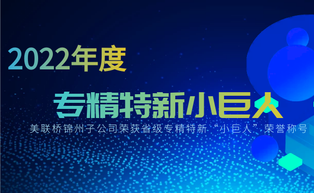 聚焦高质量发展，行远自迩、踔厉奋发——锦州28圈官方网站汽车部件有限公司荣获省“小巨人”称号